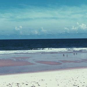 Meet your Posher, Jeanna